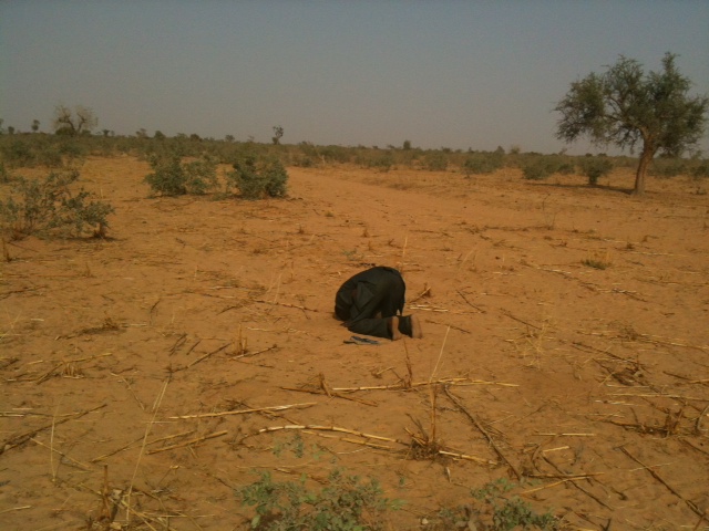 En pleine campagne nigérienne