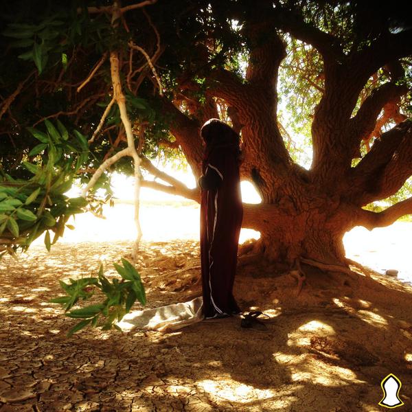 Prière sous l’arbre béni, en Jordanie
